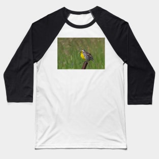 An Eastern Song - Eastern Meadowlark Baseball T-Shirt